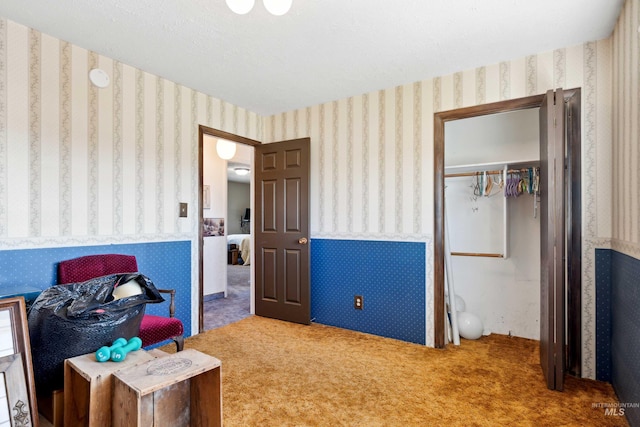 bedroom featuring carpet and a closet