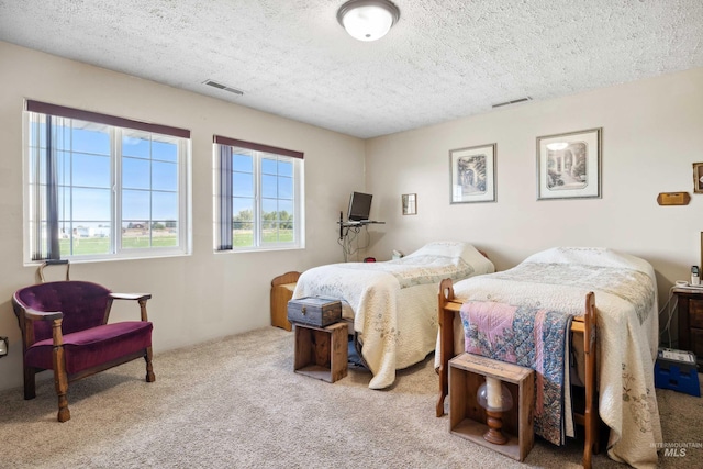 carpeted bedroom with a textured ceiling and multiple windows