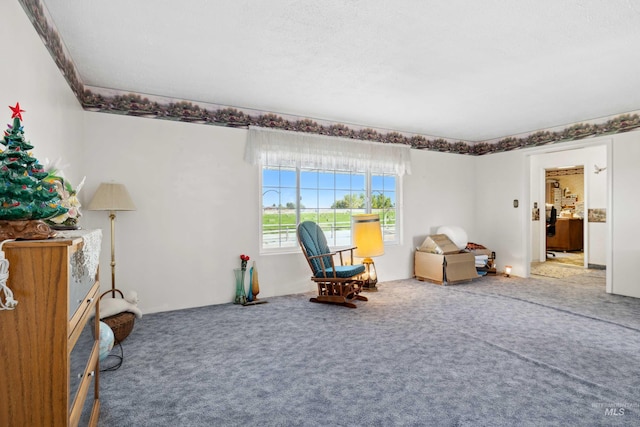 sitting room featuring carpet