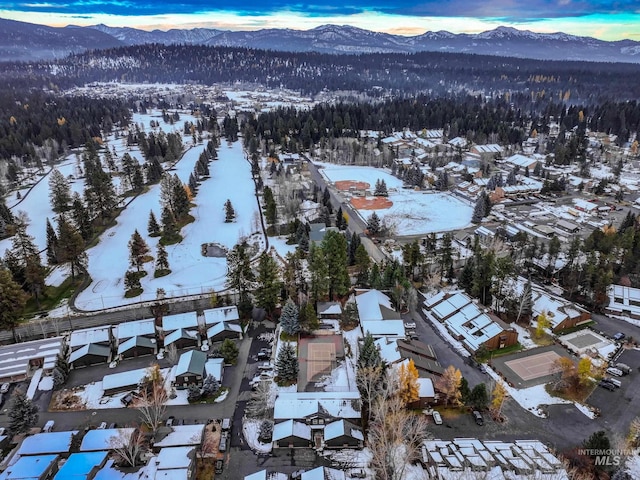 snowy aerial view featuring a mountain view