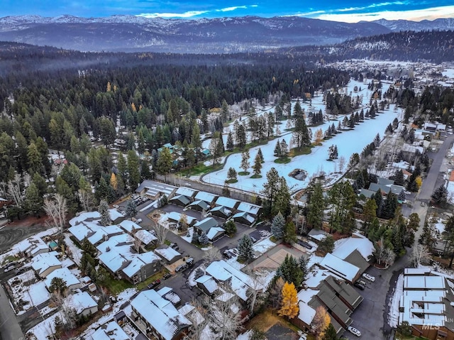 snowy aerial view featuring a mountain view