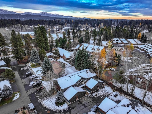 snowy aerial view with a mountain view