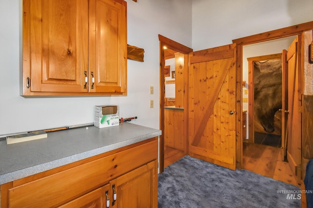 kitchen with dark hardwood / wood-style flooring