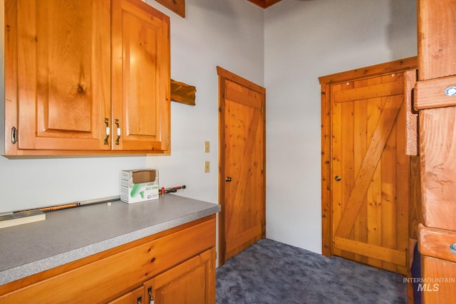 kitchen featuring carpet flooring