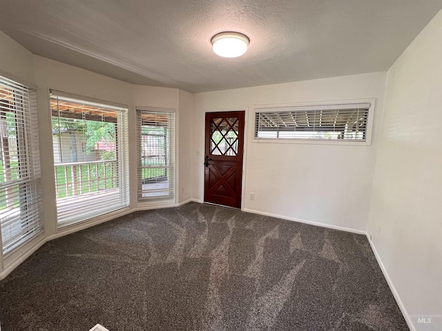 1315 W Howard, Boise, ID 83706 - entryway with baseboards, carpet floors, plenty of natural light, and a textured ceiling