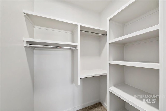 spacious closet featuring carpet flooring