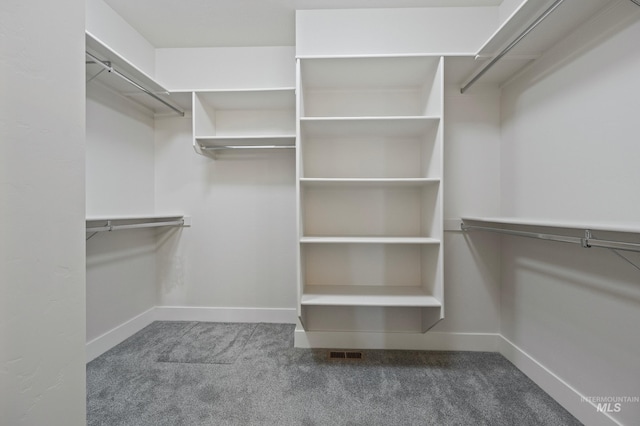 walk in closet featuring carpet flooring