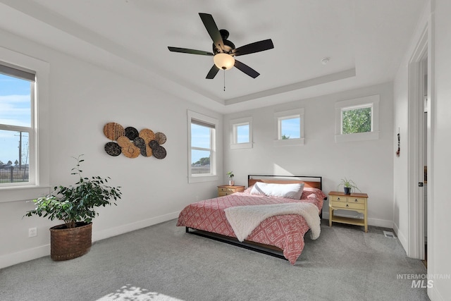 20138 Carbondale Ave, Caldwell, ID 83605 - bedroom with a tray ceiling, carpet flooring, and baseboards