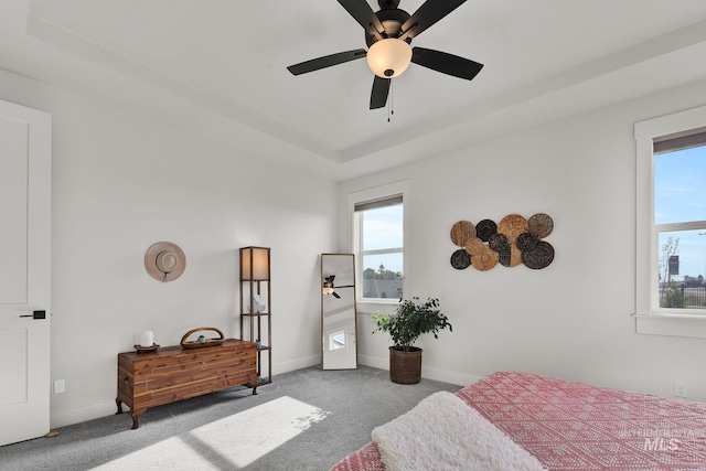 20138 Carbondale Ave, Caldwell, ID 83605 - bedroom with carpet floors, a raised ceiling, multiple windows, and baseboards