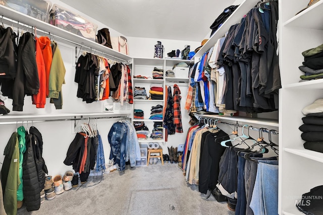 20138 Carbondale Ave, Caldwell, ID 83605 - spacious closet with carpet flooring