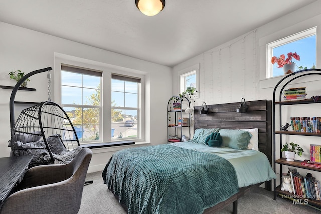 20138 Carbondale Ave, Caldwell, ID 83605 - carpeted bedroom featuring multiple windows