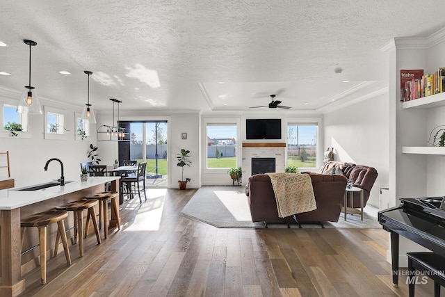 20138 Carbondale Ave, Caldwell, ID 83605 - living room with dark wood-style floors, a healthy amount of sunlight, a fireplace, and crown molding
