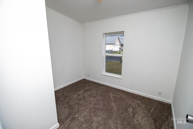 spare room featuring carpet flooring and crown molding