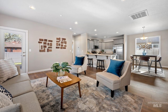 living room featuring wood-type flooring