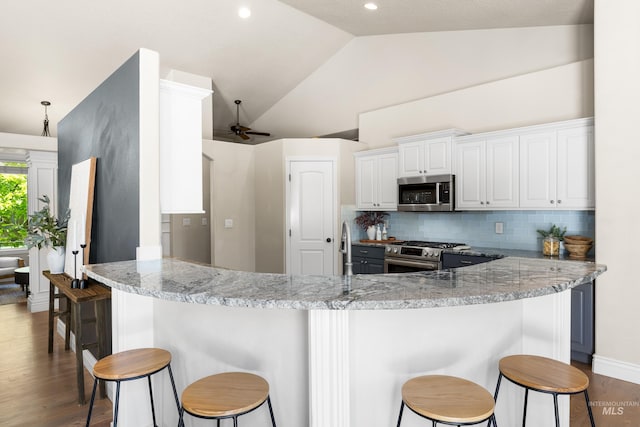 12258 Whitechapel Way, Nampa, ID 83686 - kitchen featuring stainless steel appliances, lofted ceiling, a ceiling fan, decorative backsplash, and dark wood-style floors