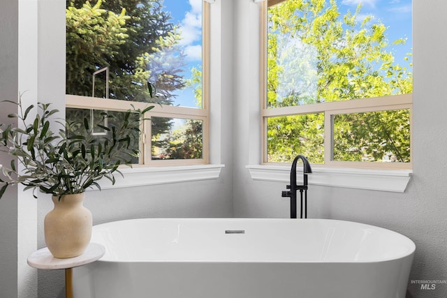 12258 Whitechapel Way, Nampa, ID 83686 - full bath with a freestanding bath