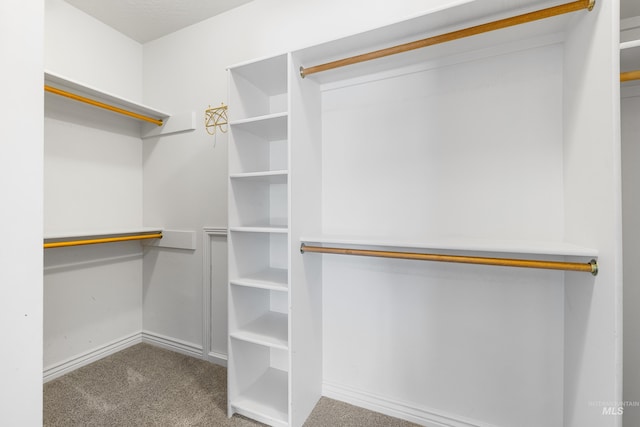 12258 Whitechapel Way, Nampa, ID 83686 - walk in closet with carpet floors