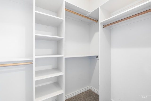 12258 Whitechapel Way, Nampa, ID 83686 - view of walk in closet
