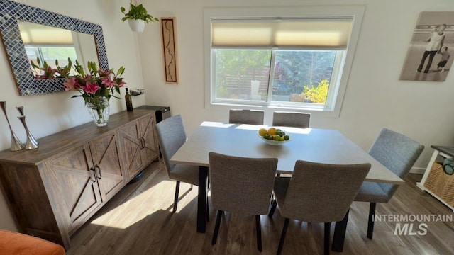 2927 N 32nd St, Boise, ID 83703 - dining area with a wealth of natural light and dark wood-style flooring