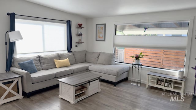 2927 N 32nd St, Boise, ID 83703 - living area with wood finished floors and plenty of natural light