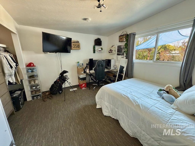 2927 N 32nd St, Boise, ID 83703 - bedroom with a textured ceiling and dark colored carpet