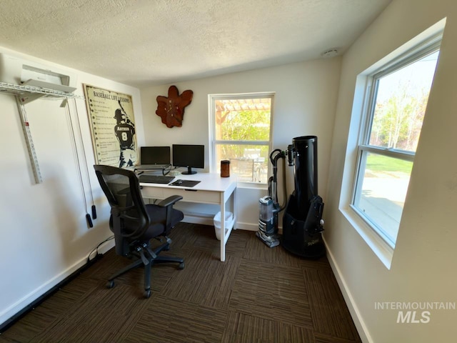 2927 N 32nd St, Boise, ID 83703 - office area with plenty of natural light, a textured ceiling, carpet flooring, and baseboards