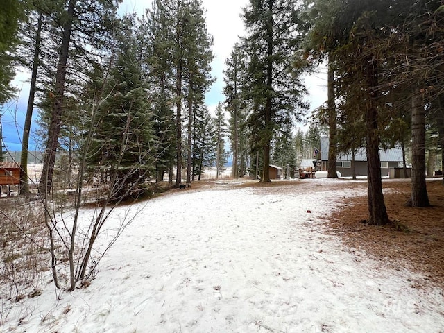 view of snowy yard