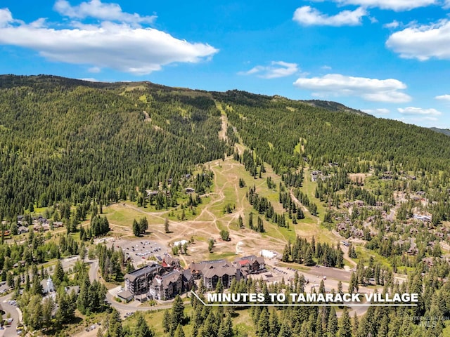 drone / aerial view with a mountain view