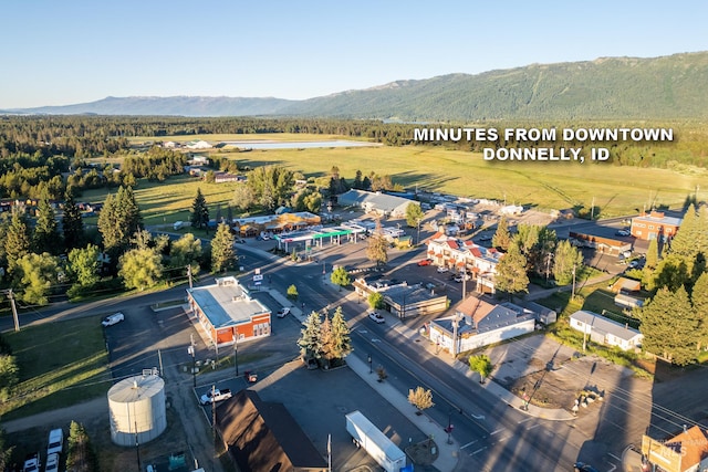 drone / aerial view featuring a mountain view