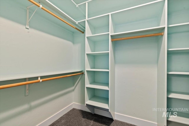 924 E Wright St, Boise, ID 83706 - walk in closet featuring dark colored carpet