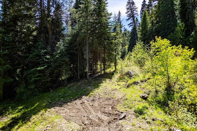 2271 Franks, Donnelly, ID 83615