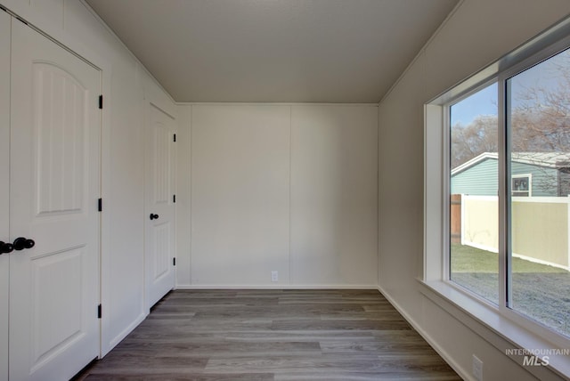 spare room featuring wood-type flooring