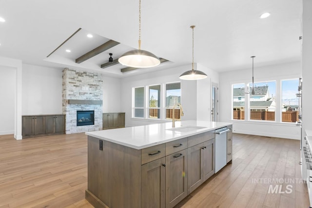 2716 N Heirloom Ave, Eagle, ID 83616 - kitchen featuring a sink, stainless steel dishwasher, plenty of natural light, and light wood-style flooring