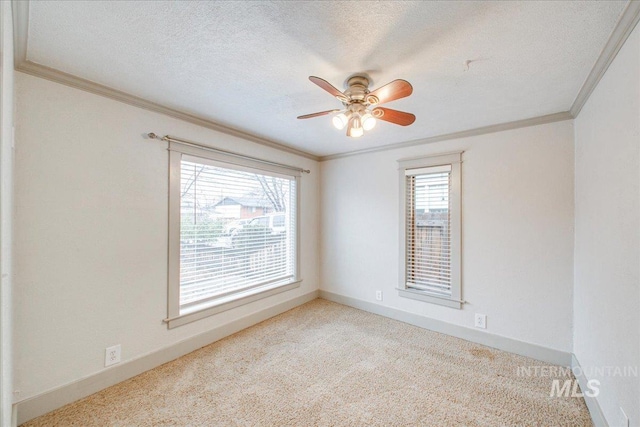 carpeted spare room with crown molding, ceiling fan, and a textured ceiling