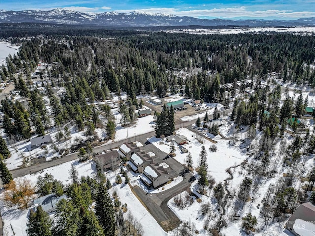 snowy aerial view with a mountain view