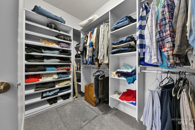 spacious closet featuring carpet