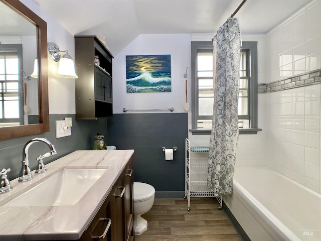 bathroom featuring vanity, plenty of natural light, toilet, and wood finished floors
