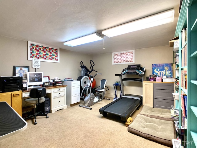 exercise area with carpet