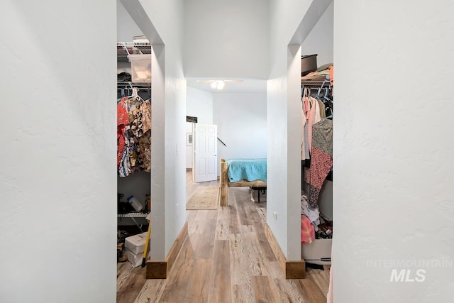 hallway featuring hardwood / wood-style floors