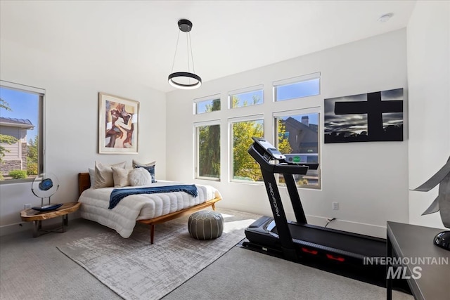 1093 N Morehouse Ave, Eagle, ID 83616 - bedroom with baseboards, carpet, and multiple windows