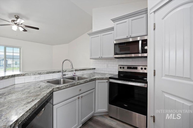 kitchen featuring ceiling fan, appliances with stainless steel finishes, a sink, dark wood-type flooring, and backsplash