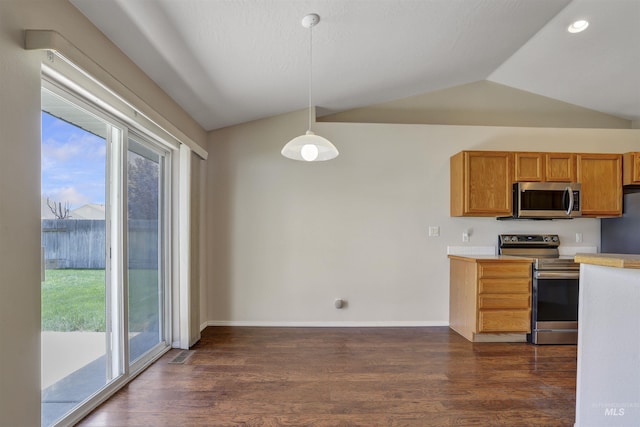 1460 N Pointe Dr, Twin Falls, ID 83301 - kitchen with stainless steel appliances, lofted ceiling, healthy amount of natural light, dark wood finished floors, and light countertops