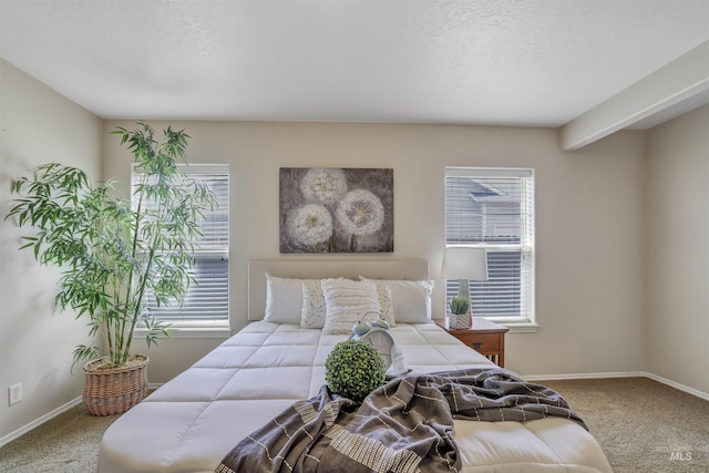 1460 N Pointe Dr, Twin Falls, ID 83301 - carpeted bedroom featuring baseboards and a textured ceiling
