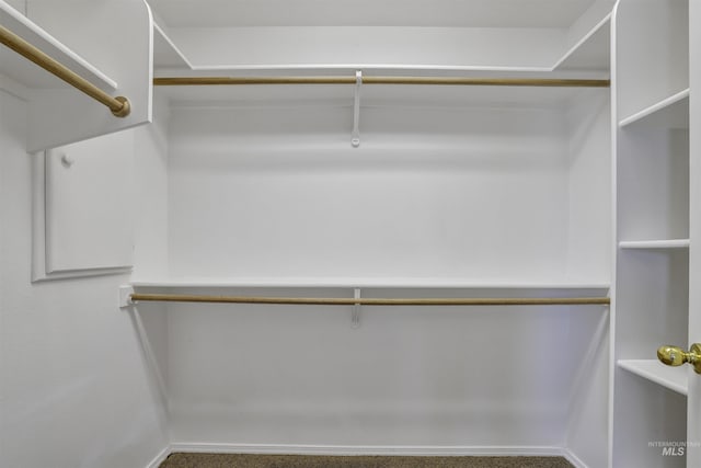 1460 N Pointe Dr, Twin Falls, ID 83301 - view of spacious closet