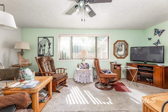 392 S Sun Burst Way, Boise, ID 83709 - living area featuring carpet flooring, ceiling fan, and a textured ceiling