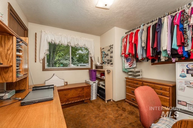 392 S Sun Burst Way, Boise, ID 83709 - office area with a textured ceiling and carpet