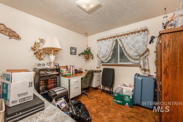 392 S Sun Burst Way, Boise, ID 83709 - carpeted home office with a textured ceiling