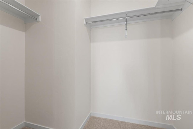 walk in closet with carpet flooring