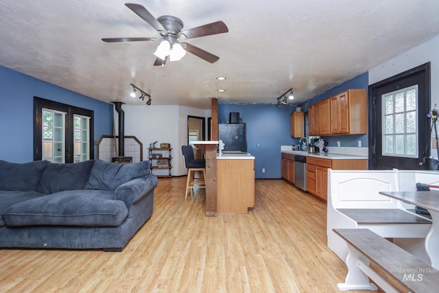 731 W 4th St, Emmett, ID 83617 - kitchen with rail lighting, stainless steel dishwasher, a wood stove, and light countertops