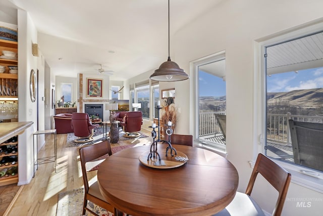 dining room with ceiling fan, a large fireplace, and light hardwood / wood-style flooring